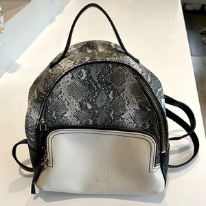 Fossil backpack